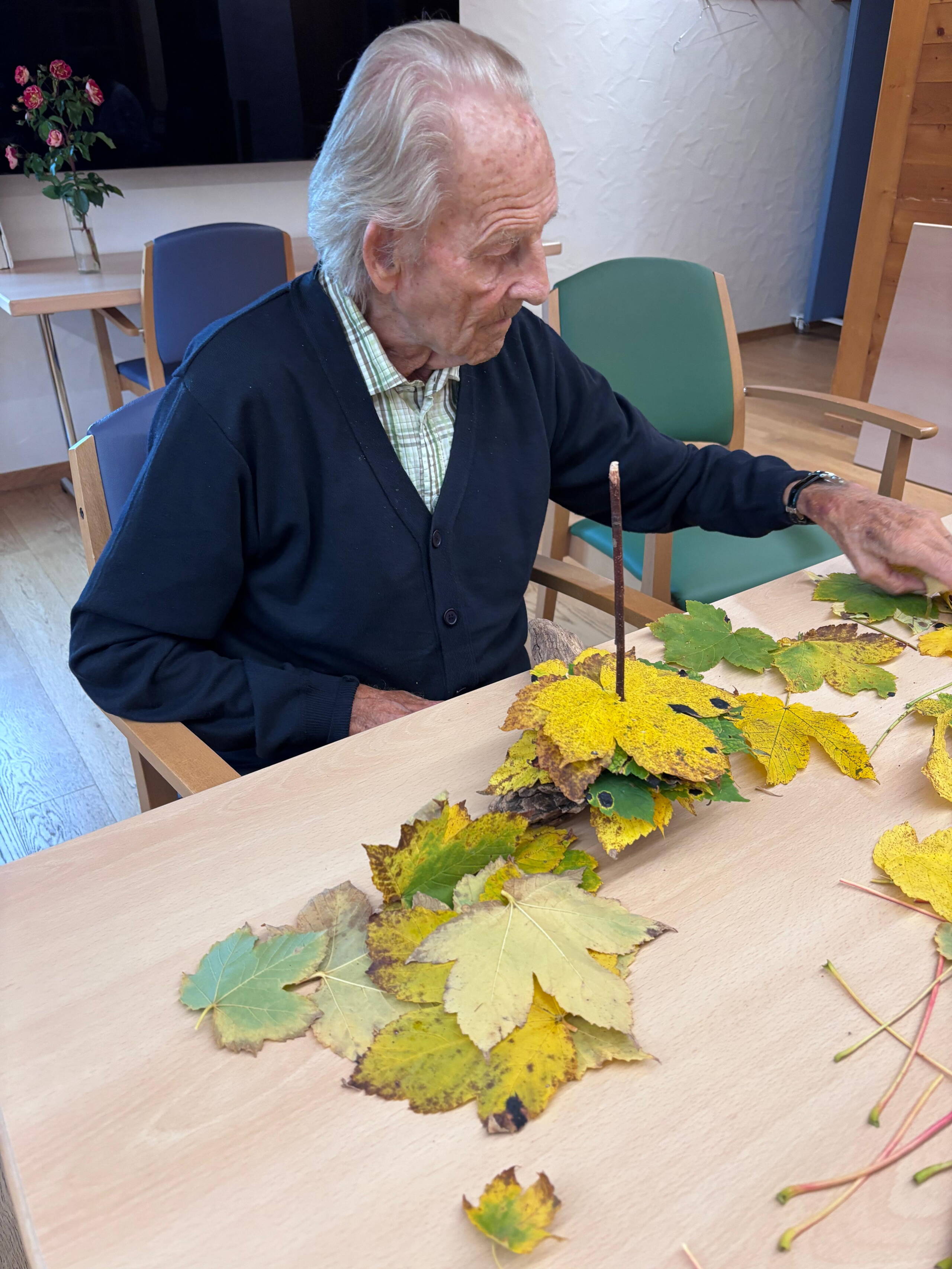 Aktivitäten